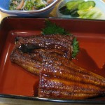うなぎの蒲焼き