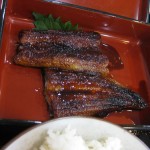 うなぎ蒲焼き