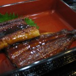 うなぎ蒲焼き